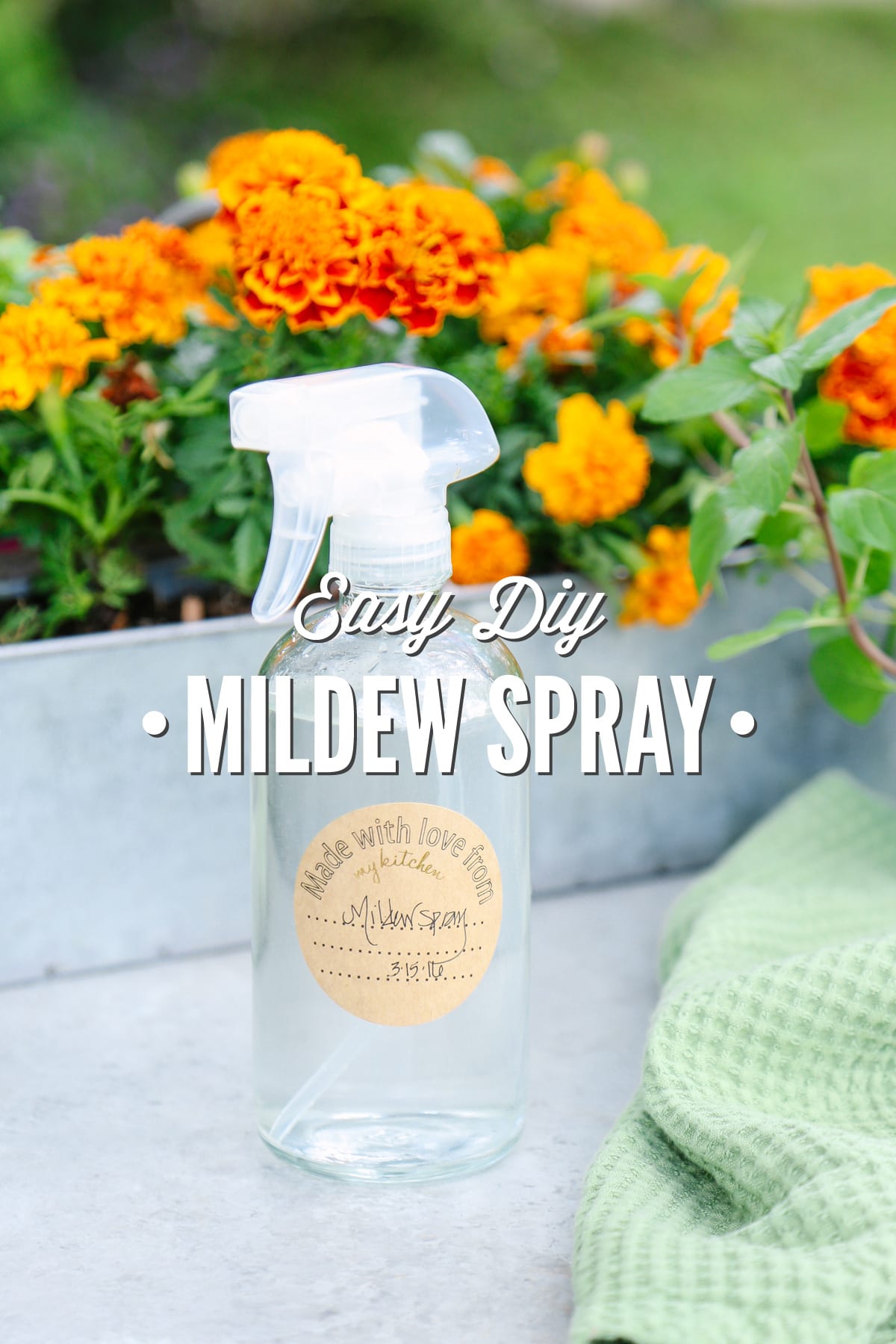 Easy DIY Mildew Spray (Indoor and Outdoor Use)