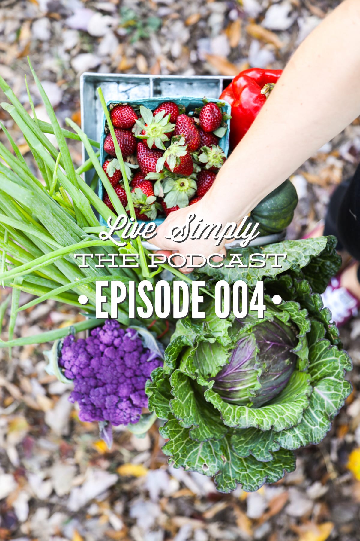 Podcast 004: Making Real Food Work with Taesha from The Natural Nurturer
