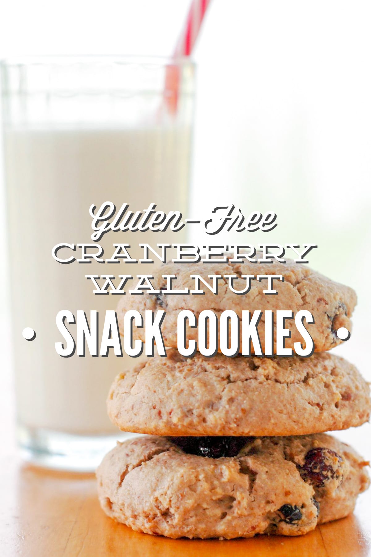 Gluten-Free Cranberry Walnut Snack Cookies