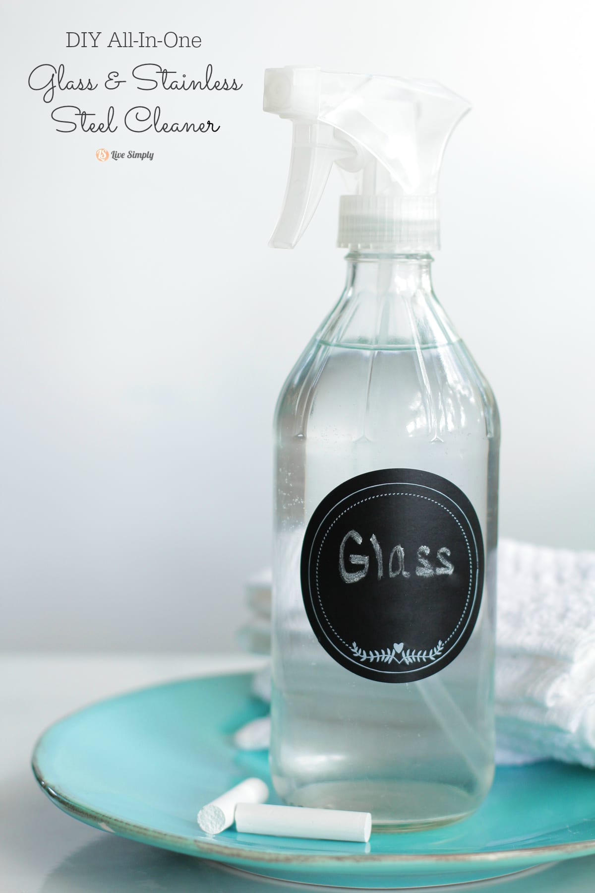 DIY All-In-One Glass and Stainless Steel Cleaner