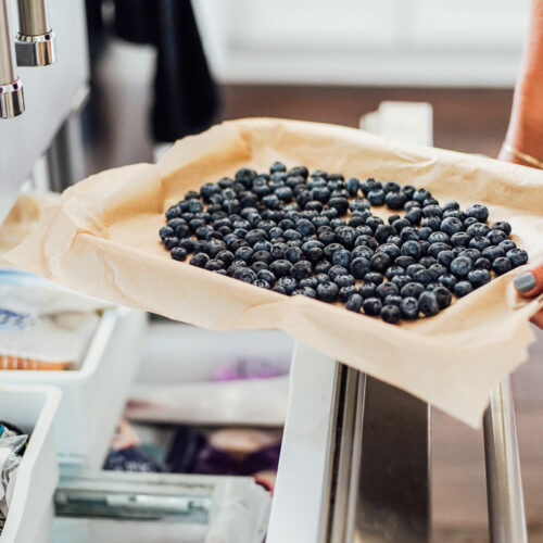 Fresh blueberries going into the freezer, on a sheet pan.