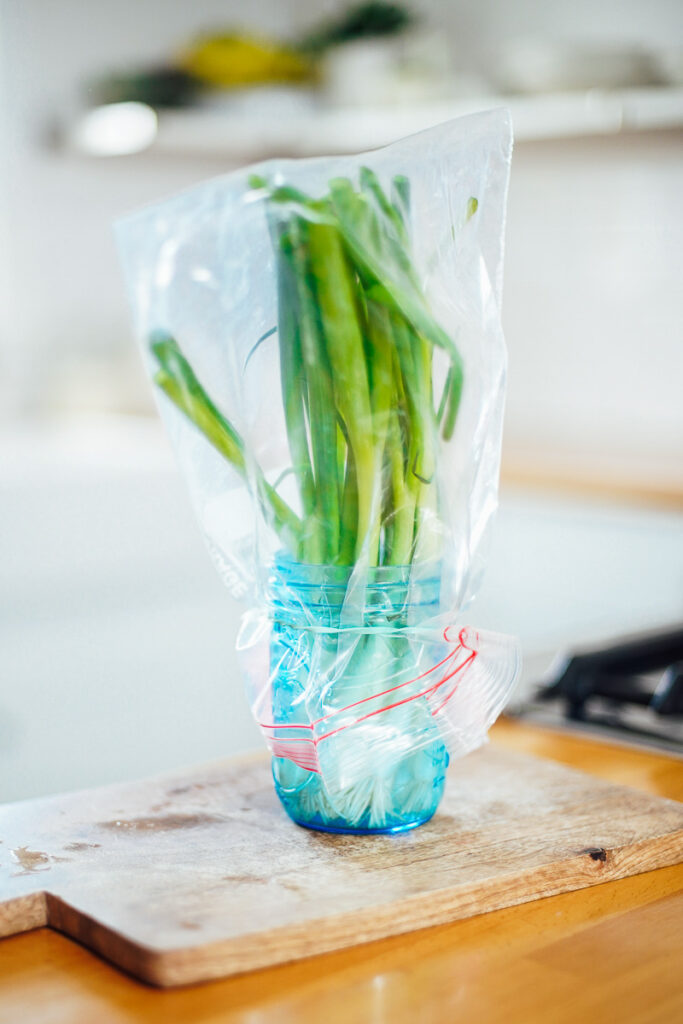 Green onions in a mason jar with water at the bottom and a bag over the top. 